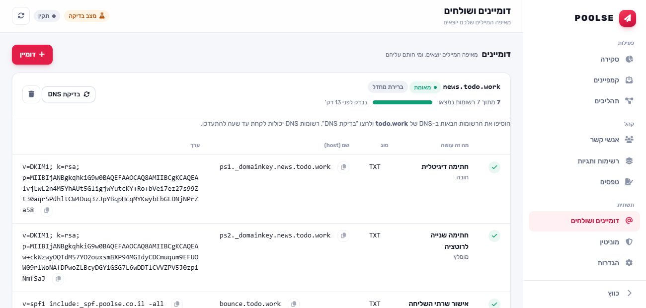אשף הדומיין ב־POOLSE: רשימת רשומות DNS עם סימון ירוק לכל רשומה שנמצאה